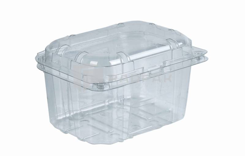 POJEMNIK NA OWOCE 500G Z PRZYKRYWKĄ ZAWIASOWĄ F-501/CL-85 PET A624
