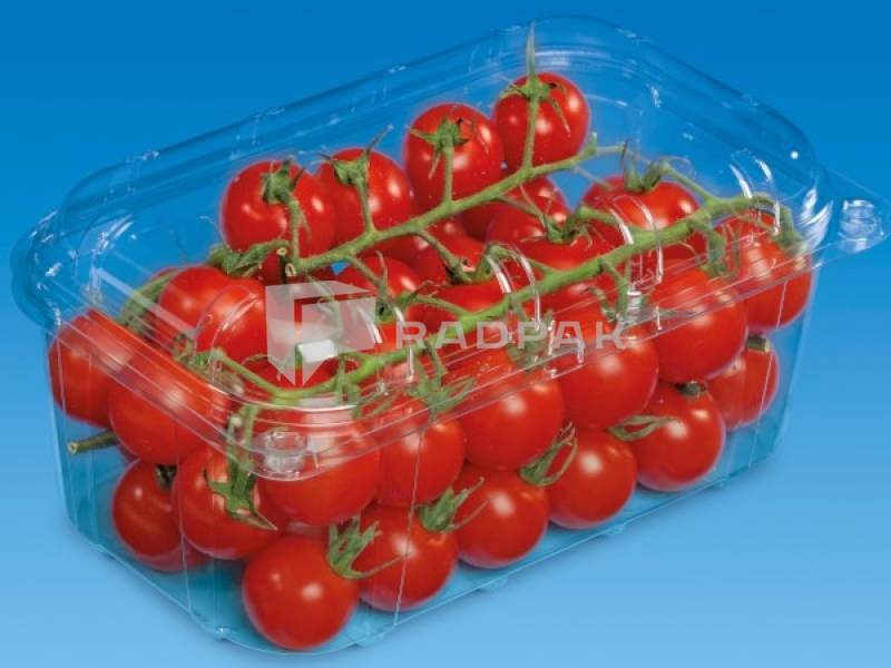 POJEMNIK NA OWOCE 1000G Z PRZYKRYWKĄ ZAWIASOWĄ F-500/CL-135 PET A536