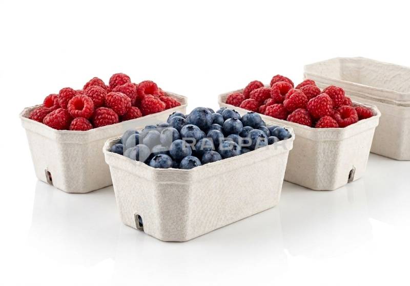 POJEMNIK NA MALINY, BORÓWKI, OWOCE FRUTPAK 250G 450szt (1)