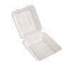 Obrazek dla: POJEMNIK 1DZIELNY  Z TRZCINY CUKROWEJ 235X230mm 29648  50szt