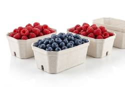 Obrazek dla: POJEMNIK NA MALINY, BORÓWKI, OWOCE FRUTPAK 500G 360szt